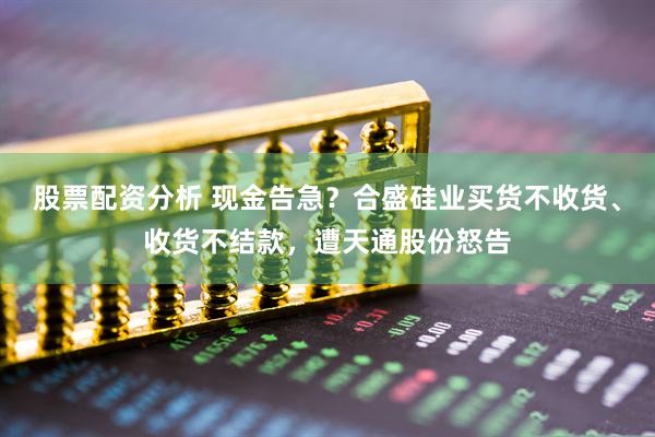 股票配资分析 现金告急？合盛硅业买货不收货、收货不结款，遭天通股份怒告