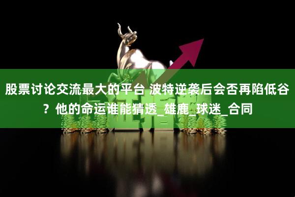 股票讨论交流最大的平台 波特逆袭后会否再陷低谷？他的命运谁能猜透_雄鹿_球迷_合同